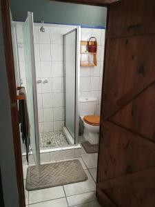 a bathroom with a shower and a toilet and a door at Moeg Geploeg Lodge in Port Shepstone