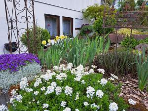a garden of flowers in front of a house at Apartment Curly in Scheyern