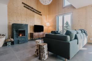 a living room with a couch and a fireplace at Janina's Dragonfly house in Nova Vas