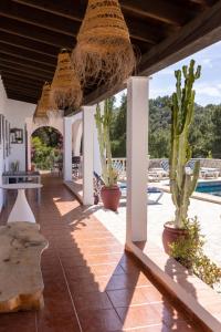 ポルト・デス・トレントにあるVilla Es Cucoの家の中に植物とサボテンのあるパティオ