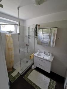 uma casa de banho com uma cabina de duche em vidro e um lavatório. em Landhaus Forrás 2 em Balatonfüred
