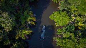 an aerial view of a boat in a river with trees at Hotel Serendipity in Tortuguero