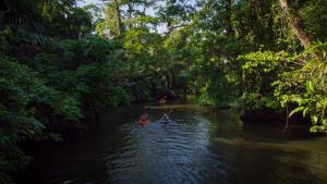 Due persone stanno facendo kayak lungo un fiume con alberi di Hotel Serendipity a Tortuguero