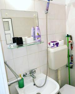 Un baño con inodoro, lavabo y espejo. en Casa Andu Centru, en Bucarest