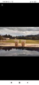 two white pots sitting on top of a pool of water at Cabañas el mirador del tomine in Guatavita