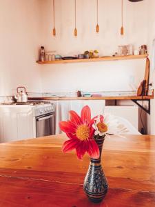 a vase with flowers sitting on a table in a kitchen at Casa Amor in Capilla del Monte