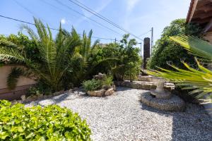 Vonkajšia záhrada v ubytovaní Villa Roberto Ibiza