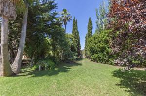 A garden outside Finca Santa Maria Near Palma