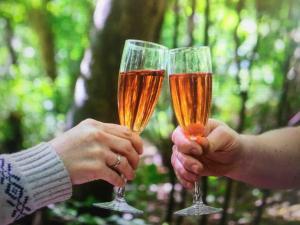two people holding champagne glasses in their hands at Hobbity Bell Hobbity log burner - Hobbity stay in Canterbury +55 photos