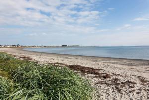 a sandy beach with some grass and the water at Manse On The Beach in Kirkistown