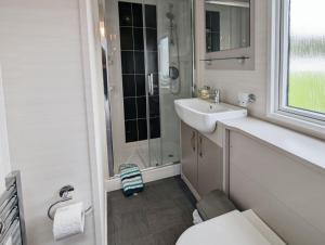 ein Bad mit einem Waschbecken, einem WC und einer Dusche in der Unterkunft Lakewood Lodge in South Cerney