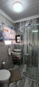 a bathroom with a shower and a toilet and a sink at Villa Dubaai in Mossel Bay +17 photos