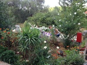 Foto dalla galleria di Apartments Cebalo - Ekonomija a Korčula