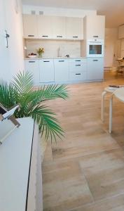 uma cozinha com armários brancos e uma planta no meio em Apartament Garden AiR em Sztutowo