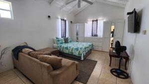 a living room with a couch and a bed at Caribbean Dream Vacation Property CD3 in Rodney Bay Village