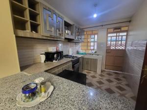 a kitchen with a counter with a plate on it at Limpopo House 2 bedroom in Naivasha