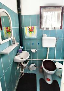 A bathroom at Vila Radenković