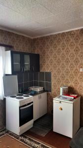 A kitchen or kitchenette at Vila Radenković