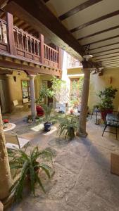 duże patio z roślinami w domu w obiekcie La Posada de Chinchilla w mieście Chinchilla de Monte Aragón