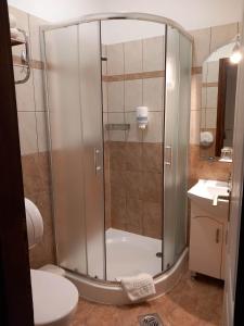 a bathroom with a shower with a toilet and a sink at Kata Panzió in Oroszlány +33 photos