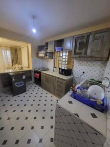 Η κουζίνα ή μικρή κουζίνα στο Amazon House 2 Bedroom House