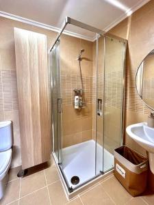 ein Bad mit einer Dusche, einem WC und einem Waschbecken in der Unterkunft Artabra Infinita Petit Home in Ferrol
