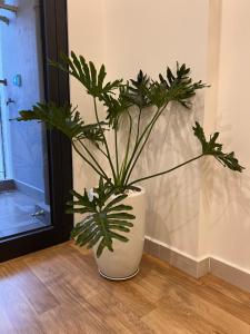a plant in a white vase sitting on the floor at Vinhome Grand Park Homestay House-Romantic Stay in Gò Công