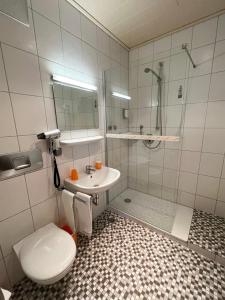 y baño con aseo, ducha y lavamanos. en Hotel Garni Illertal en Altenstadt