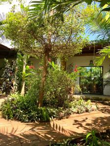 a tree in a garden in front of a house at CASITA MADAME in Puerto López