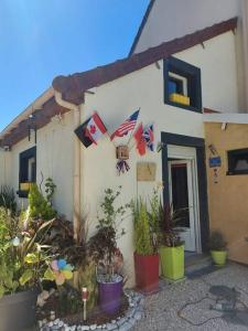 a house with a bunch of plants in front of it at Au Ch'ti Marnais. Gîte au cœur des vignes. in Nesle-le-Repons