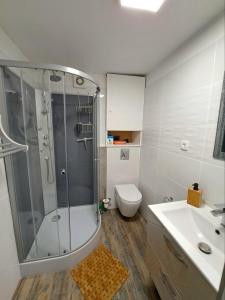łazienka z prysznicem, toaletą i umywalką w obiekcie Appartement avec parking Cap d'Agde, La Falaise w Cap d'Agde