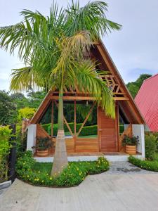 una pequeña casa con una palmera delante de ella en Cabañas Amalú en San Agustín