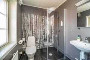 a bathroom with a shower and a toilet and a sink at Aurora Mountain Cabins & Hostel in Lannavaara