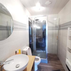 een badkamer met een toilet, een wastafel en een douche bij Auberge du Précontent in Arfeuilles
