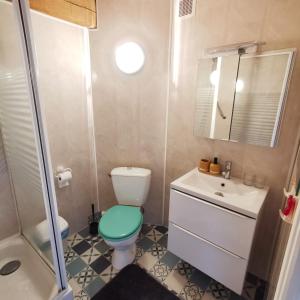 uma casa de banho com um WC, um lavatório e um chuveiro em Auberge du Précontent em Arfeuilles