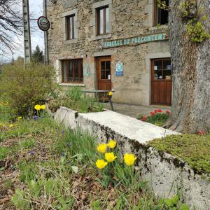 un bâtiment en pierre avec un arbre et des fleurs jaunes dans l'établissement Auberge du Précontent, à Arfeuilles