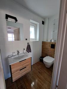 a bathroom with a sink and a toilet at Pokoje Gościnne OAZA in Sztutowo