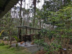 Taman di luar Multiple Stories, Wayanad