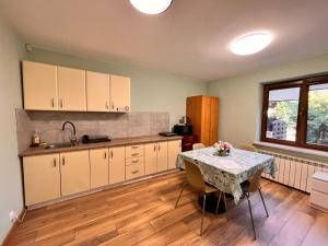 Kuchyň nebo kuchyňský kout v ubytování Green Albatros 48m with bathroom