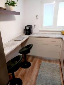 Kuchyň nebo kuchyňský kout v ubytování Štýlový apartmán v Šamoríne
