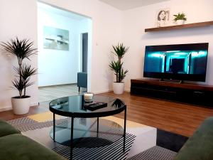 Televízia a/alebo spoločenská miestnosť v ubytovaní Štýlový apartmán v Šamoríne