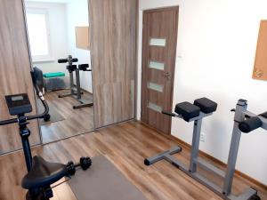 Posilňovňa alebo fitness centrum v ubytovaní Štýlový apartmán v Šamoríne