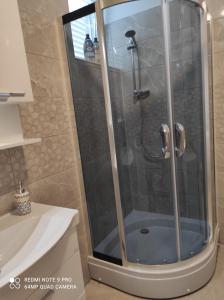 a shower with a glass door in a bathroom at Apartman David in Senj +75 photos