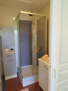 a bathroom with a shower and a sink at Le petit jazz du lac in Marciac