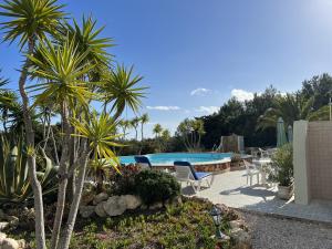 a pool with palm trees and chairs in a yard at 233 Casa Galo Verde Apartments in Porches