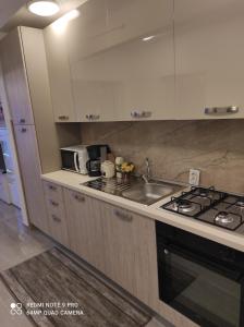 a kitchen with a sink and a stove top oven at Apartman David in Senj