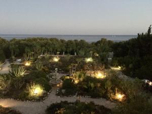 a garden lit up at night with lights at 233 Casa Galo Verde Apartments in Porches