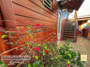 Villa Grande l'Anse في بيتيت ايلي: النباتات بالورود الحمراء أمام المبنى