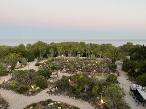 an overhead view of a garden with many plants at 233 Casa Galo Verde Apartments in Porches