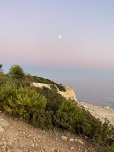 a view of the ocean from a hill with bushes at 233 Casa Galo Verde Apartments in Porches